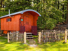 Zimmerbild 4