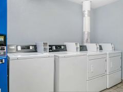Zimmerbild 15