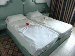 Zimmerbild 2