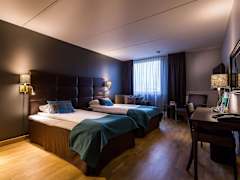 Zimmerbild 18