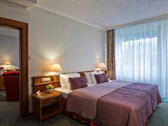 Zimmerbild 6