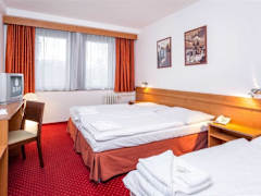 Zimmerbild 9