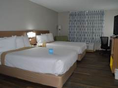 Zimmerbild 5