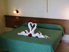 Zimmerbild 8