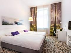 Zimmerbild 8