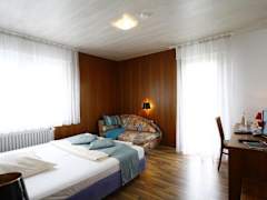 Zimmerbild 10