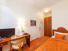 Zimmerbild 8