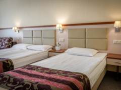Zimmerbild 11