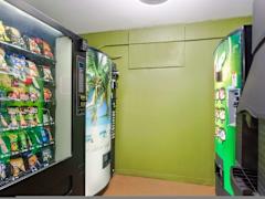 Zimmerbild 12