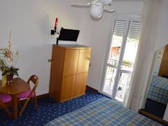 Zimmerbild 6