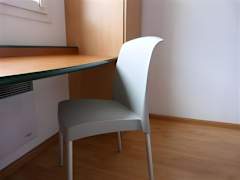 Zimmerbild 4