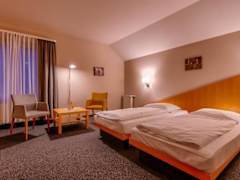 Zimmerbild 1