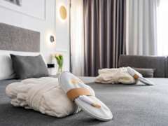 Zimmerbild 1
