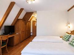 Zimmerbild 4