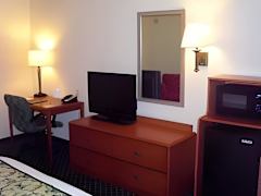 Zimmerbild 1