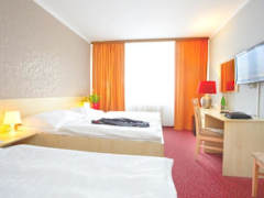 Zimmerbild 6