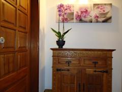 Zimmerbild 1