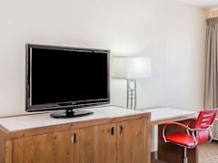 Zimmerbild 1