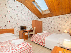 Zimmerbild 3