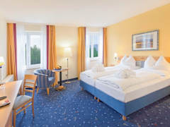 Zimmerbild 1