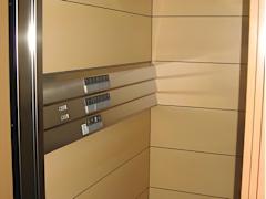 Zimmerbild 5