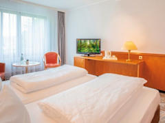Zimmerbild 1