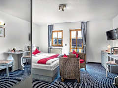 Zimmerbild 1