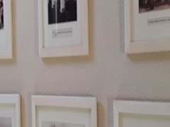 Zimmerbild 1