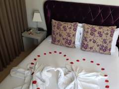 Zimmerbild 2
