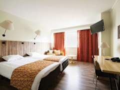 Zimmerbild 1