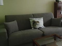 Zimmerbild 1