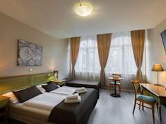 Zimmerbild 1