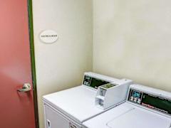 Zimmerbild 1