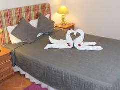 Zimmerbild 1