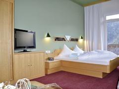 Zimmerbild 1