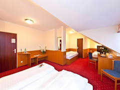 Zimmerbild 1