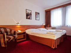 Zimmerbild 2