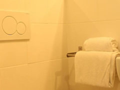 Zimmerbild 1