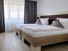 Zimmerbild 1