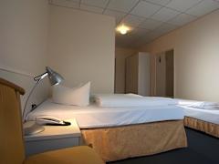Zimmerbild 1