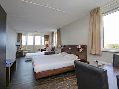 Zimmerbild 1