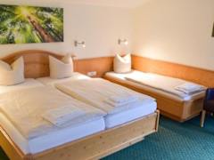 Zimmerbild 1