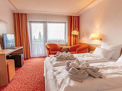 Zimmerbild 1