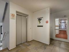 Zimmerbild 2
