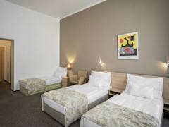 Zimmerbild 3