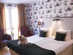 Zimmerbild 3
