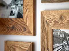Zimmerbild 1