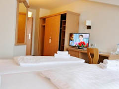Zimmerbild 1