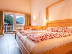 Zimmerbild 2