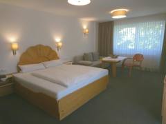 Zimmerbild 1
